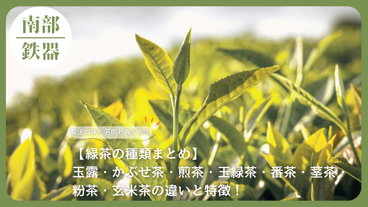 茶畑に広がる若々しい緑茶の新芽。玉露・煎茶・茎茶など緑茶の種類と特徴をまとめた記事用アイキャッチ画像。