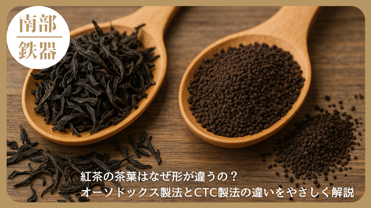 木製スプーンに盛られた2種類の紅茶の茶葉。左は細長くねじれたオーソドックス製法の茶葉、右は粒状のCTC製法の茶葉で、紅茶の製造方法による違いが分かりやすく表現された写真。